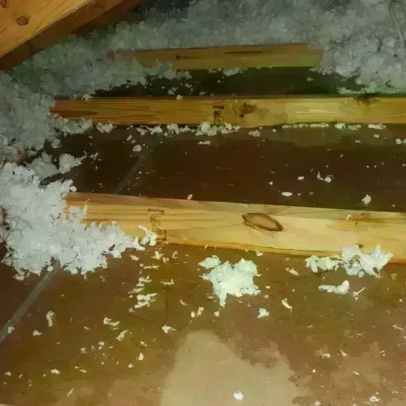 Attic Water Damage in Hamilton, OH