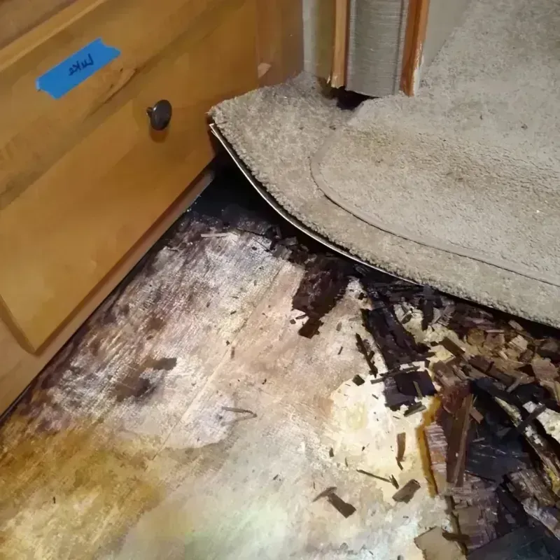 Wood Floor Water Damage in Hamilton, OH